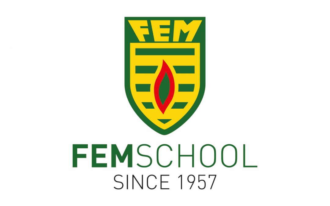 FEM SCHOOL