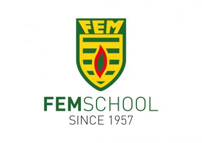 FEM SCHOOL